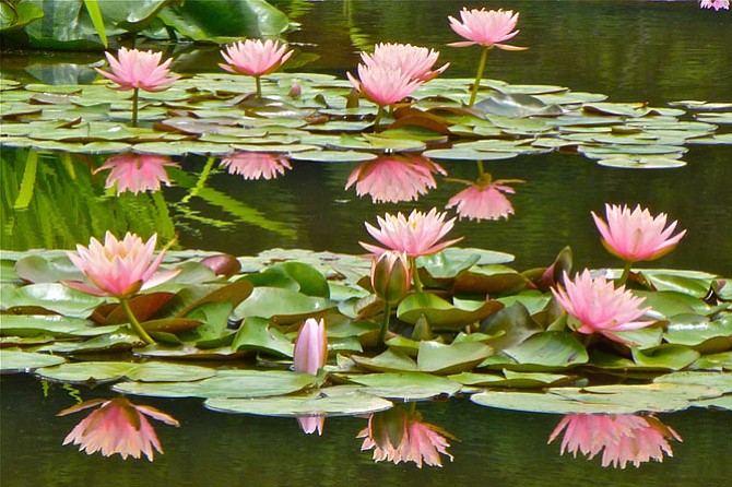 Photo detail