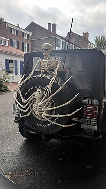 photo thumbnail