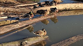 Photo detail
