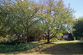 Photo detail