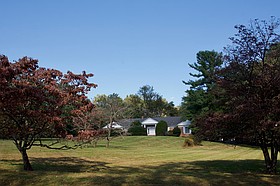 Photo detail