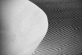 Photo detail