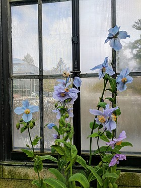Photo detail