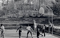 photo thumbnail