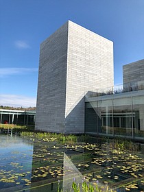 photo thumbnail