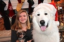 photo thumbnail