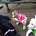 photo thumbnail