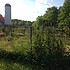 photo thumbnail