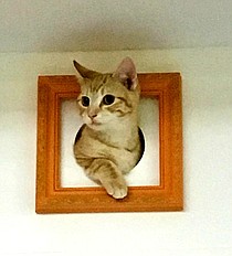 photo thumbnail