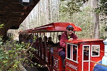 photo thumbnail