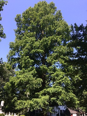 Photo detail