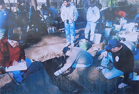 Photo detail