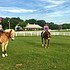 photo thumbnail
