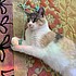 photo thumbnail