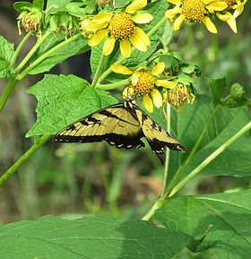 Photo detail