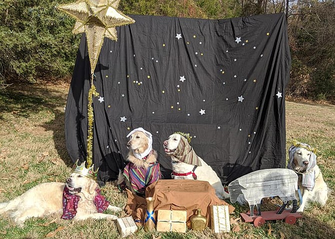 The Church of the Good Shepherd (United Methodist) on Hunter Mill Road in Vienna held its  4th Annual Puppy Nativity on Saturday, Dec. 7.