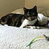 photo thumbnail
