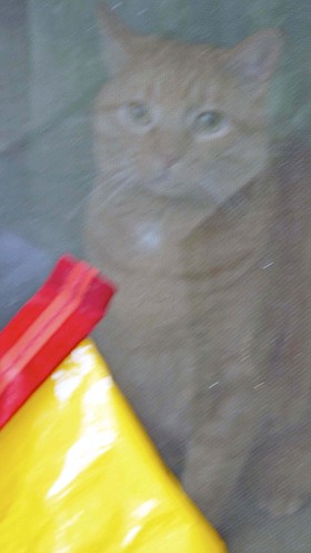 Photo detail