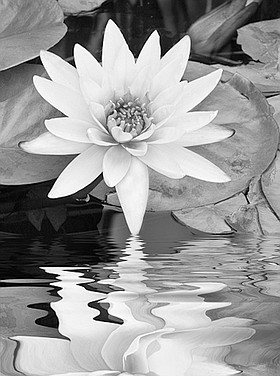 Photo detail
