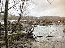 photo thumbnail