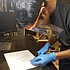 photo thumbnail