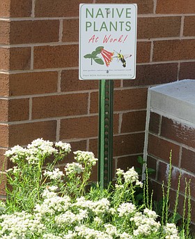 Photo detail