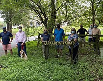 photo thumbnail