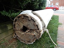 photo thumbnail