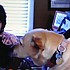 photo thumbnail