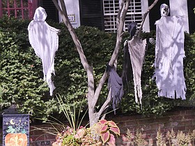Photo detail