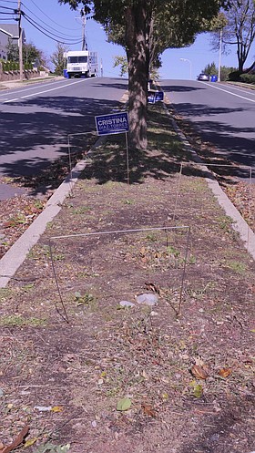 Photo detail