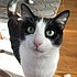 photo thumbnail