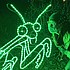 photo thumbnail