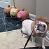 photo thumbnail