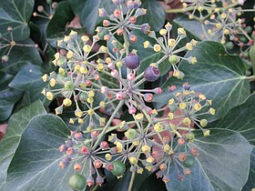 Photo detail