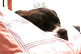 Photo detail