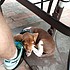 photo thumbnail