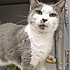 photo thumbnail