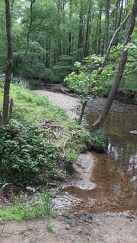 Photo detail