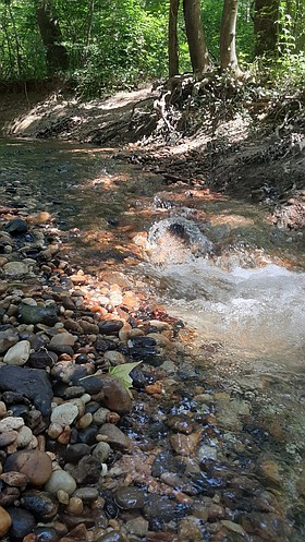 Photo detail