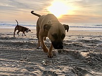 photo thumbnail