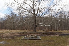 Photo detail
