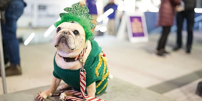 Santa Paws Yappy Hour takes place Dec. 6, 2024 at Central Place Plaza in Rosslyn.