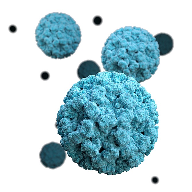 Based on electron microscopic (EM) imagery, this illustration provides a three-dimensional (3D) graphical representation of a number of norovirus virions, set against a white background.