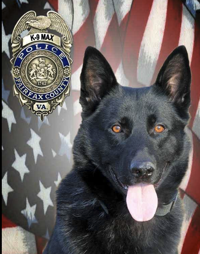 FCPD announced on March 10 that K9 Max, died. K9 Max served as a police officer with the department from 2012-2020 and enjoyed his retirement years, during which he remained a loyal companion and mentor to his K9 siblings.