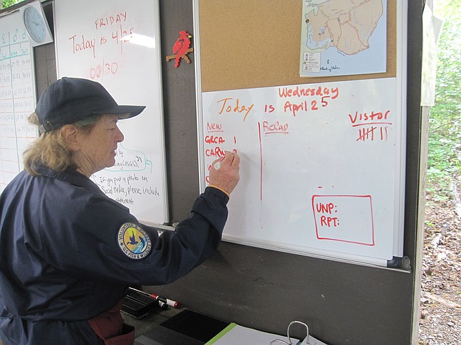 Suzanne Miller records bird species captured each day.