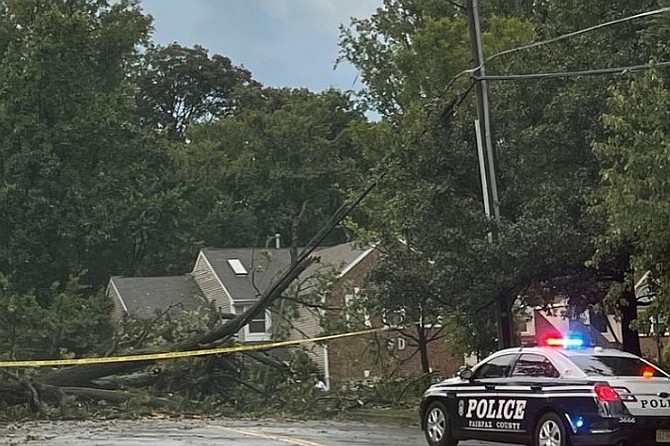 Trees fell on wires too.