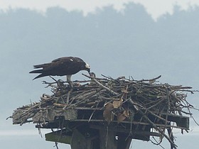 Photo detail