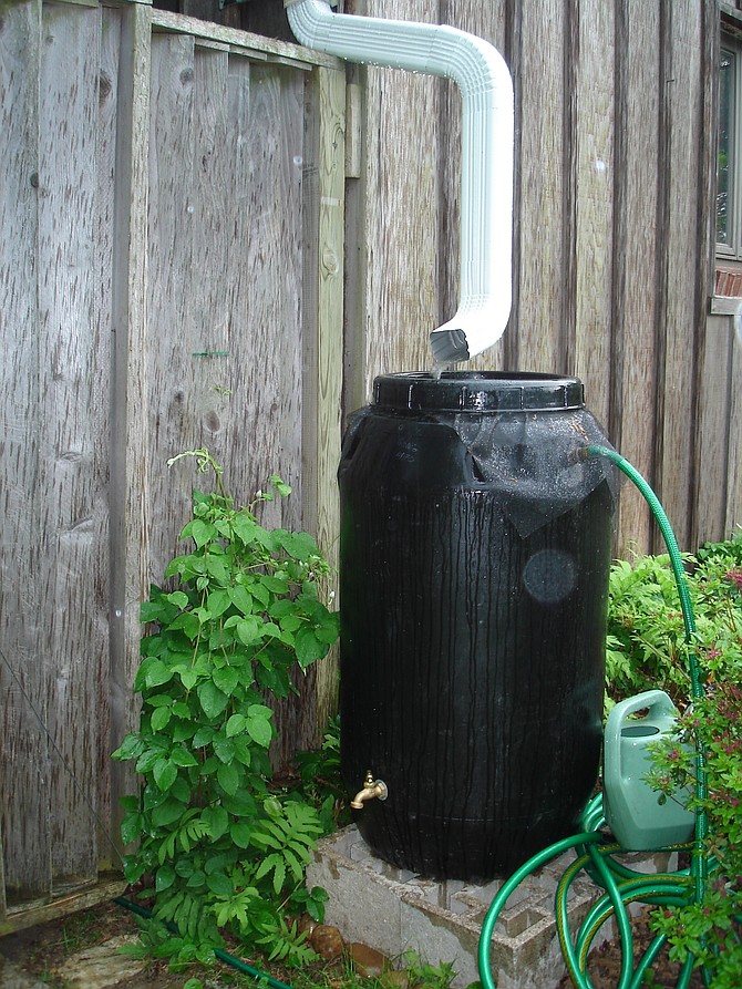 Rain barrel collecting water from a downspout. Photo credit: NVSWCD.