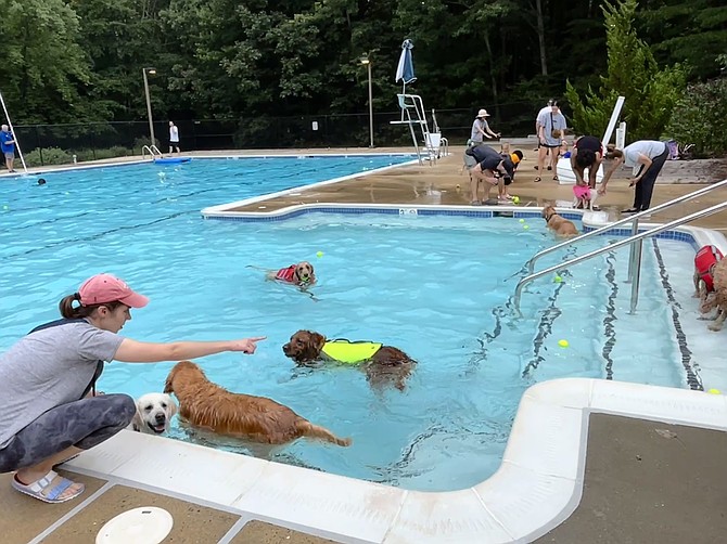 Nothing like a day at the pool to kick back and just have fun with your buddies at the pool.